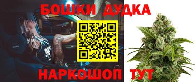 молекула духа Кингисепп
