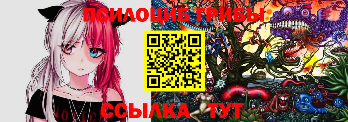 Галлюциногенные грибы Psilocybine cubensis  Вход с VPN  Псилоцибиновые грибы GOLDEN TEACHER  Кудрово 